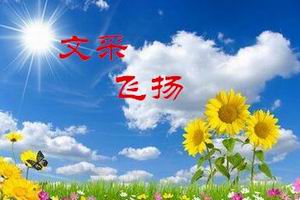 文采飞扬