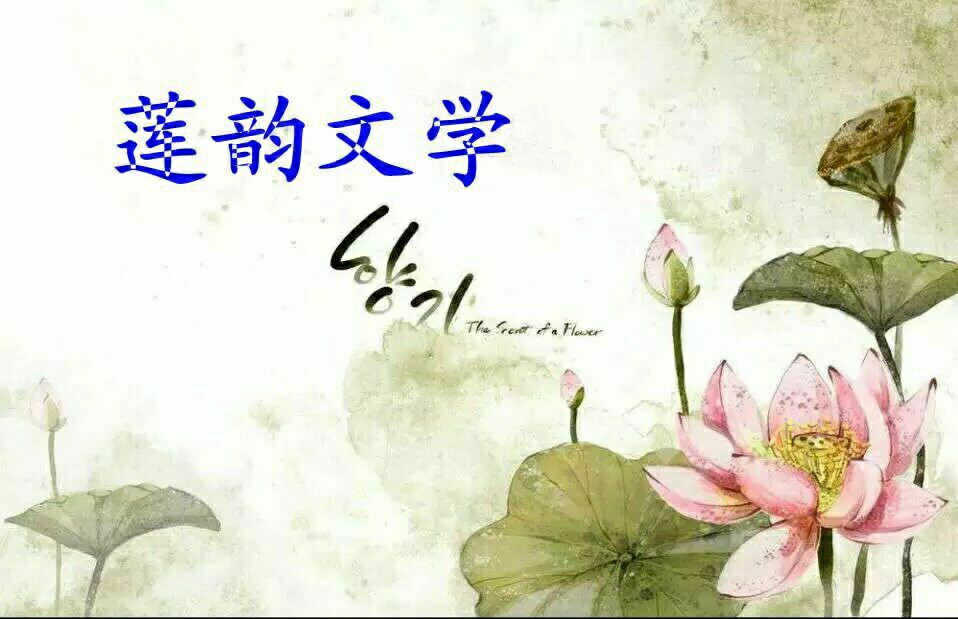 莲韵文学