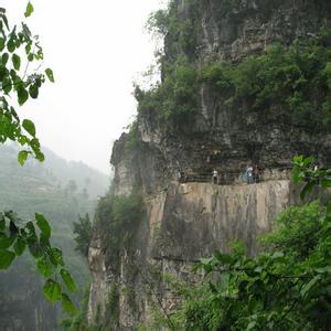 乌龙山夺宝记