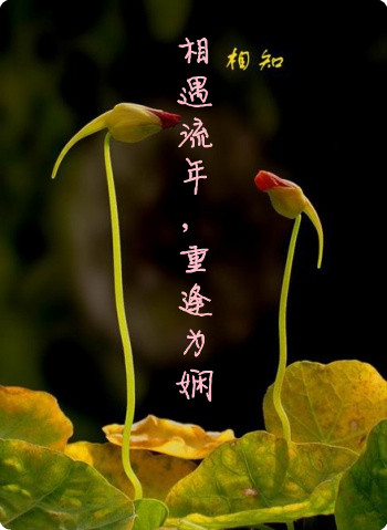 طͼƬвƷͼƬ