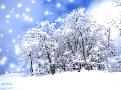 心也象雪花一样舞蹈