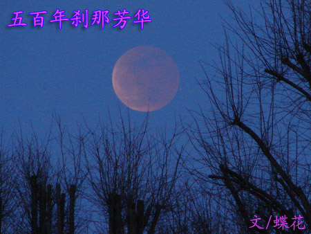 【太阳】 月亮,我寂寞的女神