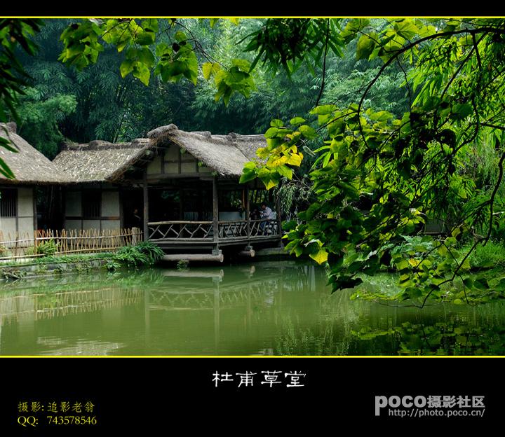{亲情的人比喻}.