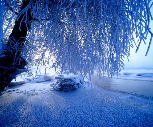 【我爱冬天——爱冬天的一切！】