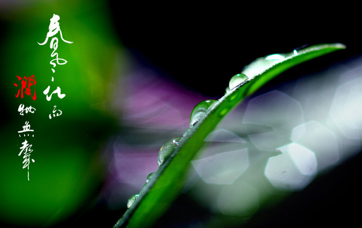 什么什么化雨的成语_成语故事图片