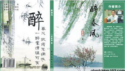 送情郎口风琴曲谱