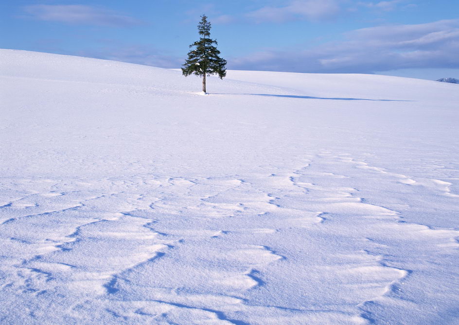 【散文】雪是天然的油漆