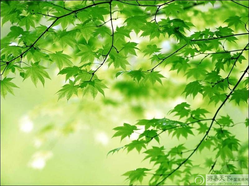 {中华经典诗词歌赋推荐}.