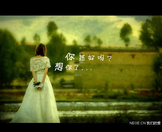 婚纱意境图_婚纱图片唯美背影意境(2)