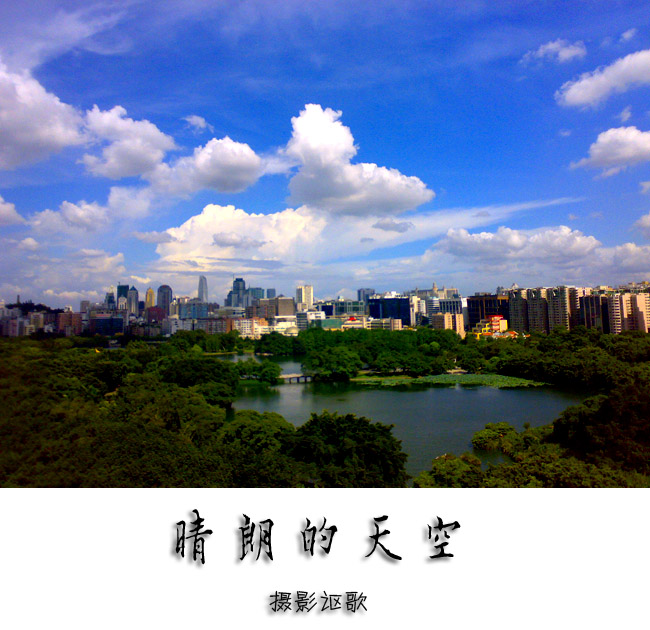 【被欺骗后原谅他的散文】
