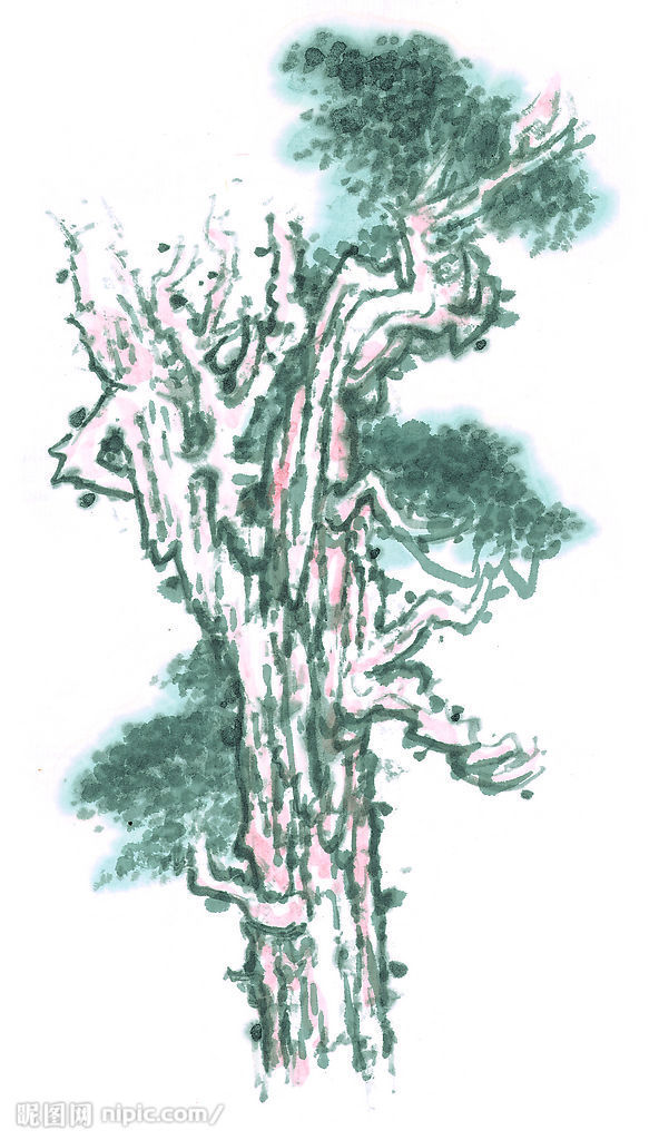 【海蓝·散文】老屋的树