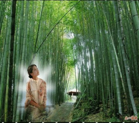 【筐篼文学·龙年征文】你会想我吗(现代诗)