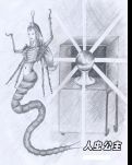 人虫公主
