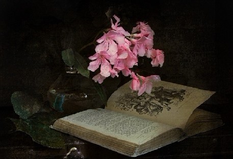 【筐篼文学·杂谈】一个女人的珍珠丝语_江山文