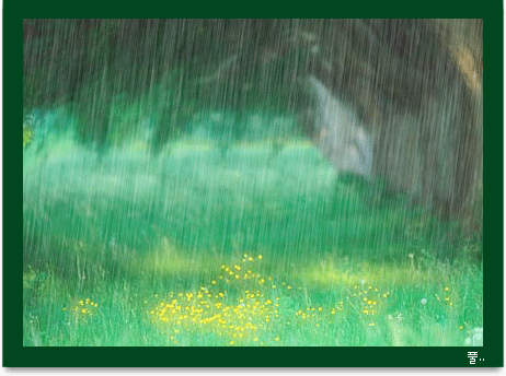 【文苑★诗歌】下雨天,想起你