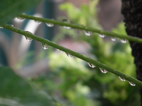 秋夜,听雨