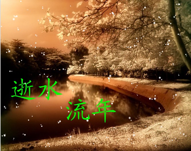 华文诗歌诗与歌的境遇