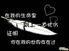 纪念我死去的"爱情"