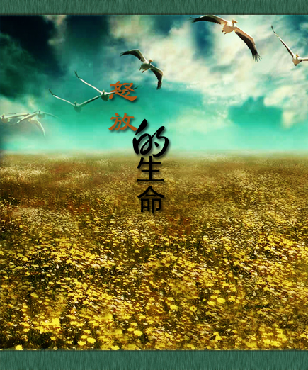 征文怒放的生命小说