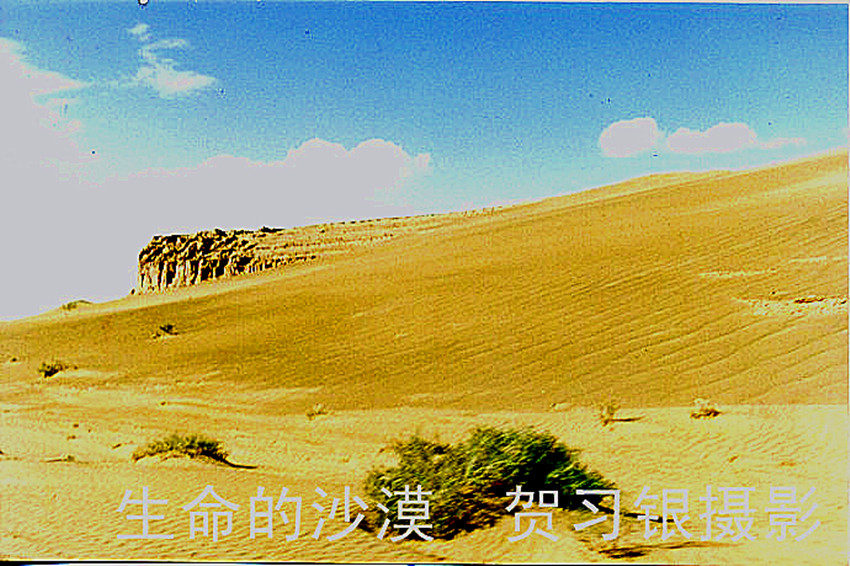 用現代人的思維方式,就能從詩賦中品味出其他許多新的意境.