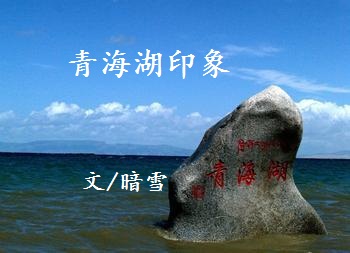 【杨柳】青海湖印象（散文）