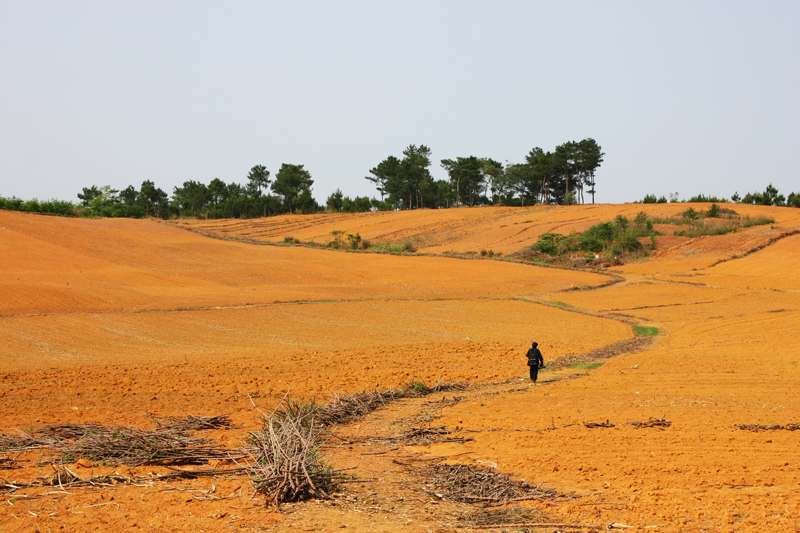 【山水】我的<em>兄弟姐妹</em>们(<em>散文</em>)_江山文学网