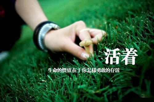 ——题记    人生如同一趟长途旅行,只要活着就有幸福的可能,谁也