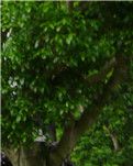从下乡知青到大学教授