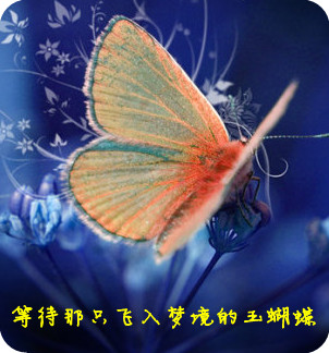【酒家】时光书：等待那只飞入梦境的玉蝴蝶