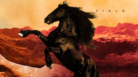 【梧桐诗歌】一匹在沙漠中狂奔的黑马