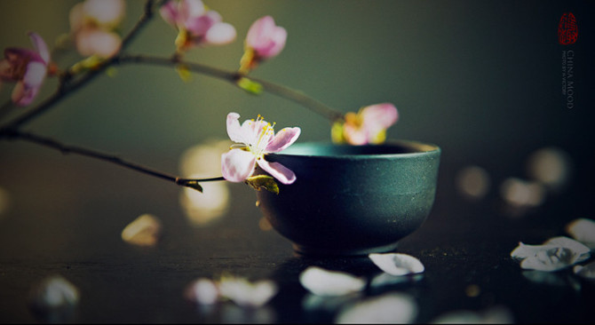 一 清晨醒来的时候,听见一两只鸟在窗外啼啭,声音清脆悦耳,音符在窗帘外面滚来滚去,像孩子们玩的弹子儿,把整个清早闹得五彩斑斓。躺在床上,随心所欲地翻一些书。每一本书都卧在床头,叽叽喳喳,它们有被重视的欲望。拿起一本,又一本,看着那些熟悉抑或陌生的名字,摩挲着或厚或薄的纸页,想象他们躲在文字背后的或美丽或丑陋的容颜,我觉得内心安然,世界怡然。 已经上午九点了。外面很喧闹,各种各样的声音潮水一样或涨或落,近了,又远了。我听见一个小孩子在哭,她的母亲或奶奶高一声低一声地在责骂着他。他定然满脸泪水,
