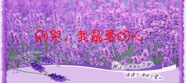 让爱住我家古筝曲谱