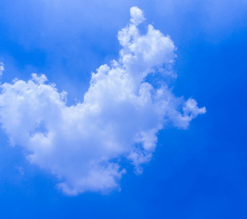 >> 【 江南】夏的颂歌(散文)         雨是大自然常见的一种自然现象