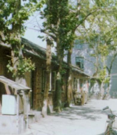 娶村花一层平房设计图