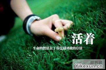 天涯烟雨人生豪情壮志随笔
