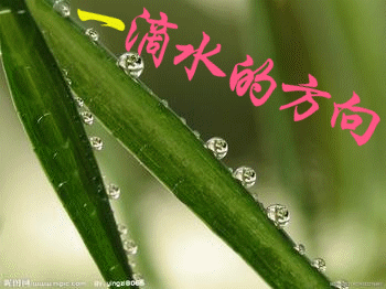 『流年*梦里花开』一滴水的方向(散文外二篇)