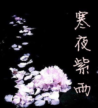 『逝水流年*小说』寒夜紫雨