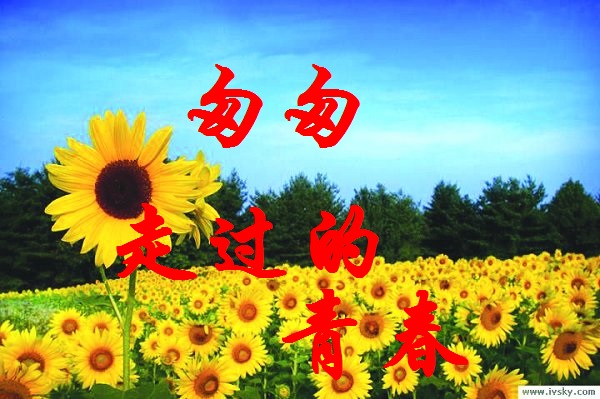 【流云】匆匆走过的青春（散文）