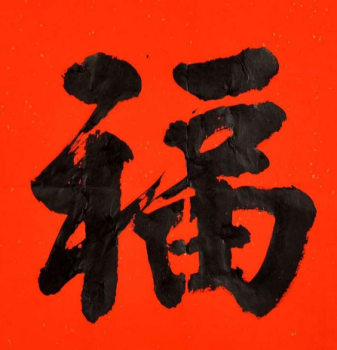 【神舟·芬芳】全家福（散文）