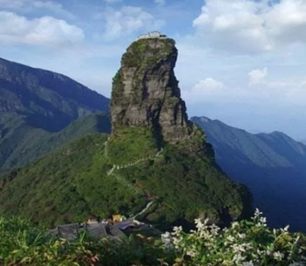 【柳岸】领略南岳衡山秀（散文）