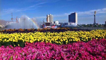 【星月】花城的“花” 金昌的“蜜”（散文外一篇）