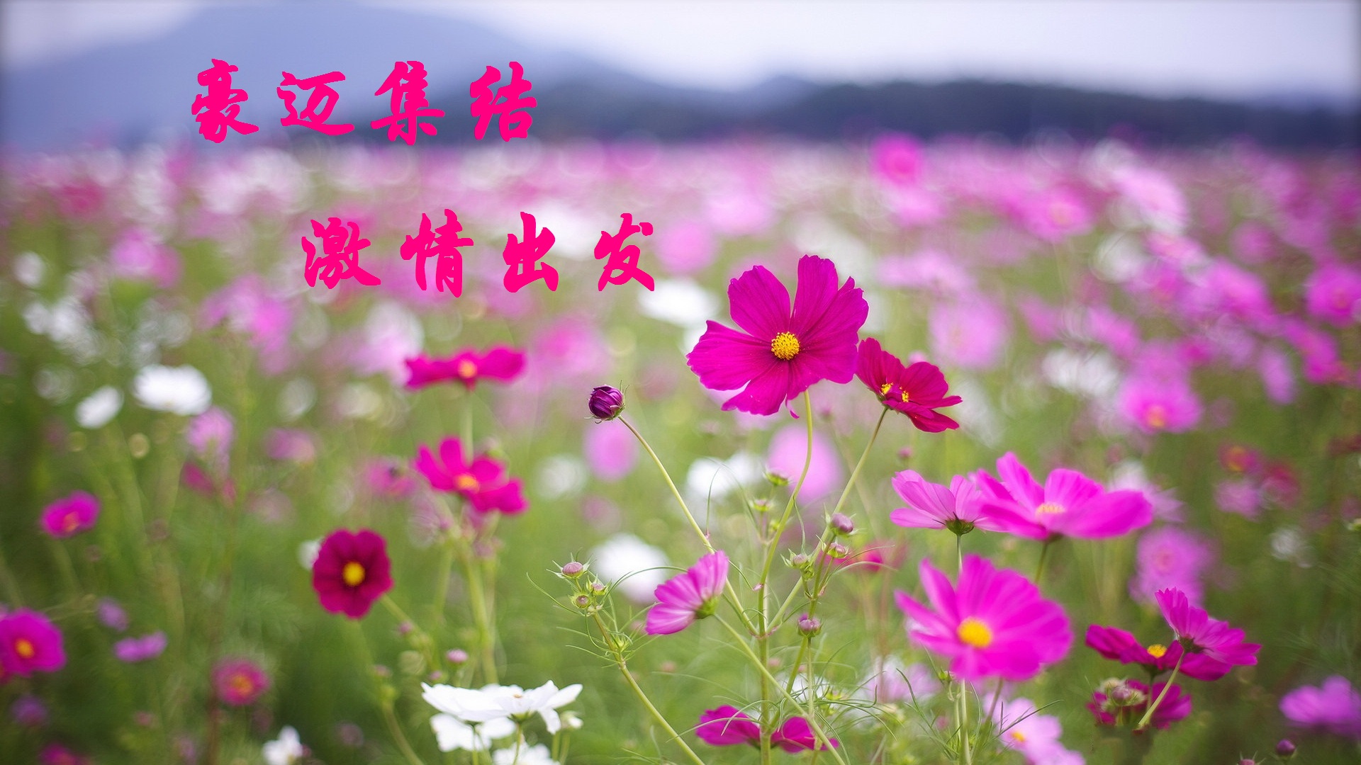 【丁香花语】写在三月春组诗(外三首)