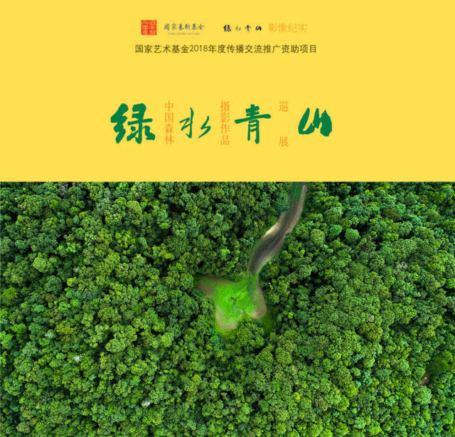 【凤凰】绿色是生命之源（赏析）