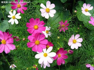 【萌芽春天】春天来了（散文）