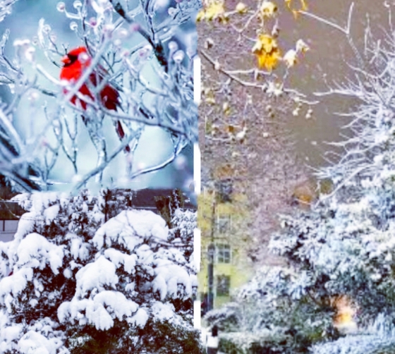 【天涯】当雪花节气遇上古诗〔散文〕