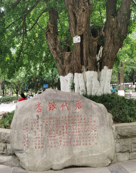 【江山·根与魂】【宁静】百花潭记（散文）