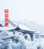 【东篱•追】雪落一幅画（散文）
