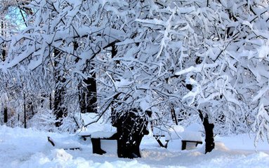 冬天的一场雪（散文）