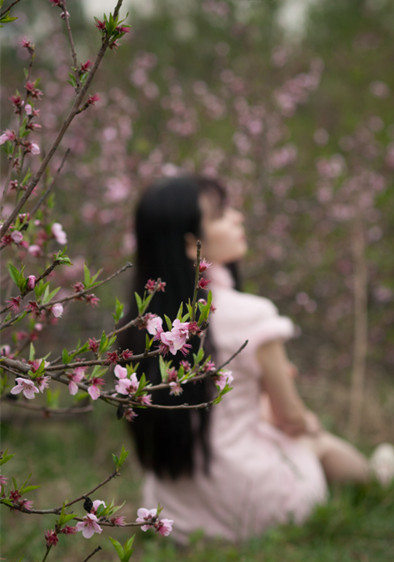 【时光 】梦里桃花开（散文）