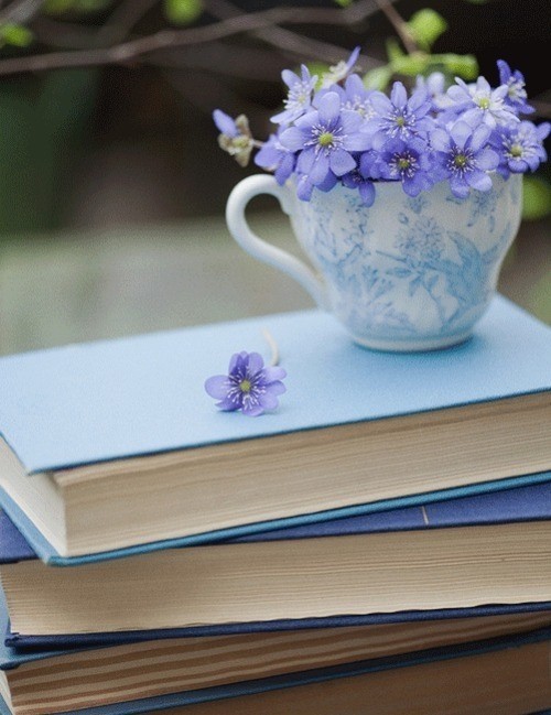 ff98f8d11febb7f2dde56b23fbf7a04d.jpg